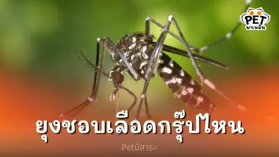 เลือดกรุ๊ปคุณรึเปล่า กรุ๊ปเลือดไหนที่เป็นของโปรดยุง