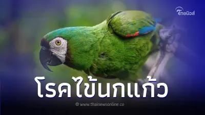 "หมอชลน่าน" เผย "โรคไข้นกแก้ว" ยังไม่พบผู้ป่วยในไทย