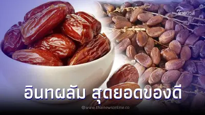 "อินทผลัม" ผลไม้คู่เดือนรอมฎอน มีดีกว่าที่คิด จิ๋วแต่แจ๋วเหลือเชื่อ