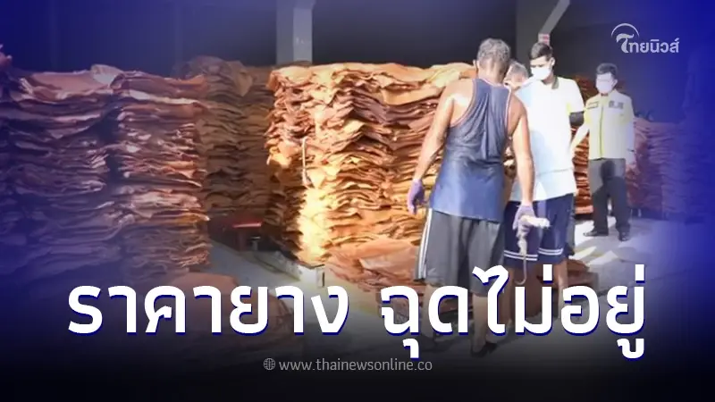 เปิดราคา "ยางพารา" พุ่งสูงสุด ในรอบ 41 เดือน 