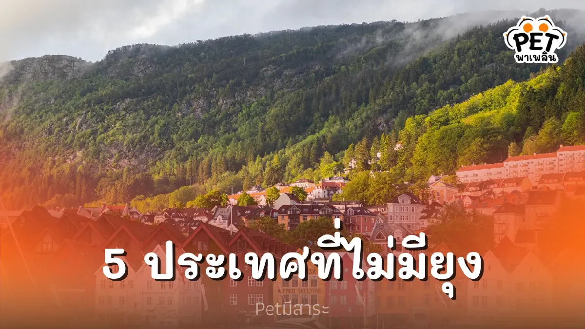 5 ที่ในต่างประเทศ ที่ไหนมียุงแต่ที่นี่ไม่มียุง 5 ที่ในต่างประเทศ ที่ไหนมียุงแต่ที่นี่ไม่มียุง