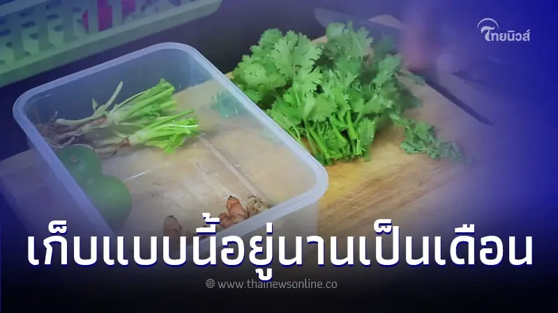 5 วิธีเก็บผักสมุนไพร ให้อยู่นานเป็นเดือน 5 วิธีเก็บผักสมุนไพร ให้อยู่นานเป็นเดือน