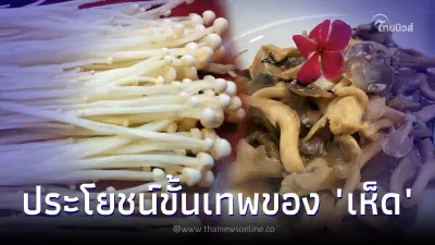 ประโยชน์ขั้นเทพของ "เห็ด" คุณค่าทางโภชนาการเพียบ ไม่กินไม่ได้แล้ว