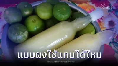 มะนาวผง มะนาวขวด ใช้แทนน้ำมะนาวสดได้ไหม ไขคำตอบแล้ว มะนาวผง มะนาวขวด ใช้แทนน้ำมะนาวสดได้ไหม ไขคำตอบแล้ว