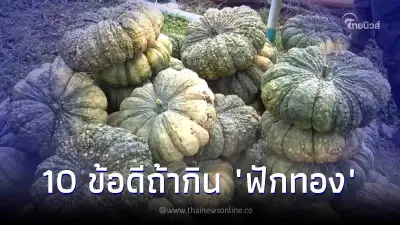 กิน "ฟักทอง" ยังไงให้ได้ประโยชน์ที่สุด พร้อม 10 ข้อดีที่จะได้รับ