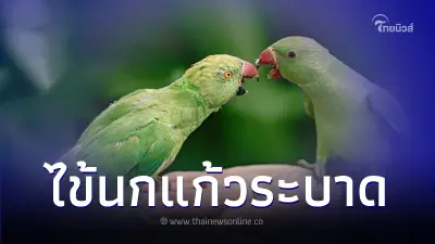 องค์การอนามัยโลก (WHO) เตือน 5 ประเทศในยุโรป  ไข้นกแก้วระบาด