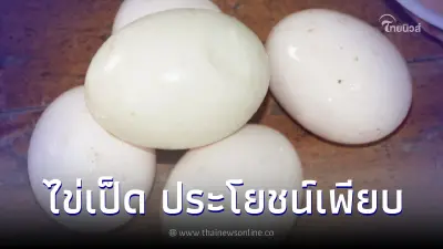 "ไข่เป็ด" มีดีกว่าที่คิด รวมประโยชน์ดีๆจากไข่เป็ด แล้วคุณจะหลงรัก "ไข่เป็ด" มีดีกว่าที่คิด รวมประโยชน์ดีๆจากไข่เป็ด แล้วคุณจะหลงรัก