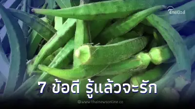 รู้แล้วทำไมใครๆก็รัก "กระเจี๊ยบเขียว" 7 เผยประโยชน์ที่คุณอาจไม่รู้ รู้แล้วทำไมใครๆก็รัก "กระเจี๊ยบเขียว" 7 เผยประโยชน์ที่คุณอาจไม่รู้