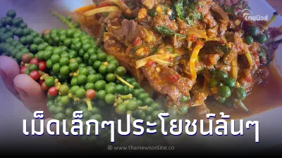 ของดี อย่าเขี่ยทิ้ง "พริกไทยอ่อน" เม็ดเขียวๆ กินแล้วดีเกินคาด