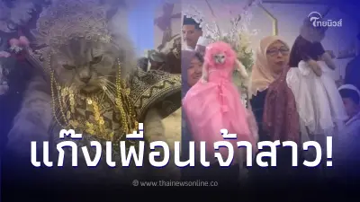 แก๊งเพื่อนเจ้าสาว ร่วมงานแบบงงๆ หน้าตาบึ้งตึง ไม่ยิ้มแย้ม แต่มีแต่คนเอ็นดู