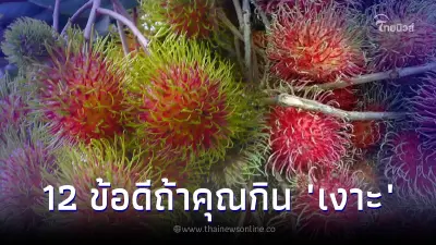 12 ข้อ กินเงาะดียังไง รู้แล้วจะว้าว ช่วยทั้งภายนอกภายใน