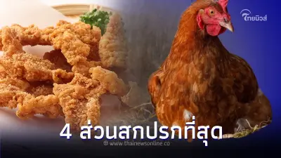 นักวิจัยเผย 4 ส่วนที่สกปรกที่สุดเต็มไปด้วยปรสิต "ไก่" ไม่ควรนำไปบริโภค นักวิจัยเผย 4 ส่วนที่สกปรกที่สุดเต็มไปด้วยปรสิต "ไก่" ไม่ควรนำไปบริโภค