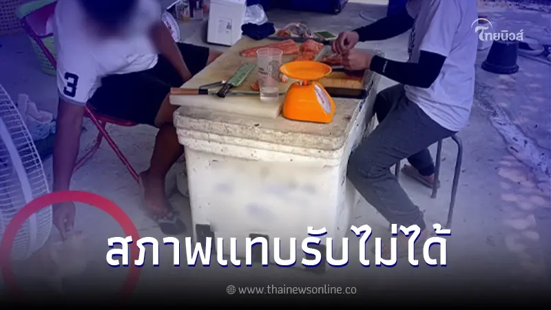 สาวรีวิวสั่งแซลมอนผ่านแอป ไปรับเอง เห็นสภาพร้าน แทบรับไม่ได้ อ้วกเกือบพุ่ง สาวรีวิวสั่งแซลมอนผ่านแอป ไปรับเอง เห็นสภาพร้าน แทบรับไม่ได้ อ้วกเกือบพุ่ง