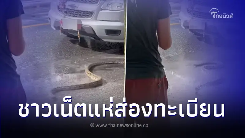 งูเลื้อยตัดหน้ากระบะช่วงสงกรานต์ ชาวเน็ตไม่พลาดส่องเลขทะเบียน งวด 2 พ.ค. 67 งูเลื้อยตัดหน้ากระบะช่วงสงกรานต์ ชาวเน็ตไม่พลาดส่องเลขทะเบียน งวด 2 พ.ค. 67