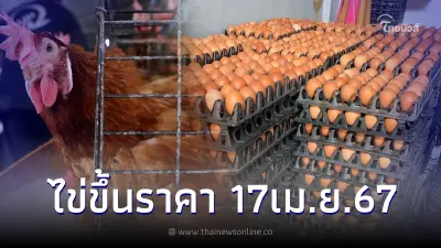 "ไข่ไก่ขึ้นราคา" มีผล 17 เม.ย. 67 ปรับราคาไข่ไก่ขึ้นอีกแผงละ 6 บาท