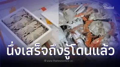 หนุ่มซื้อปู 30 ลัง คิดว่าคุ้มเพราะพ่อค้าบอกลดกว่าเท่าตัว เอาไปนึ่งความแตก