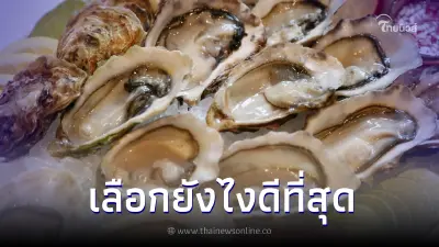 เลือก หอยนางรม ยังไงได้ของดีที่สุด สดๆกินอร่อยไม่เสี่ยงท้องเสีย