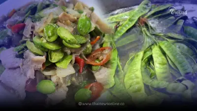 "สะตอ" ประโยชน์แรงแซงกลิ่น หลายคนอาจยังไม่เคยรู้
