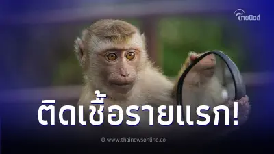 ฮ่องกงเจอรายแรก ผู้ป่วยติดเชื้อไวรัสหลังถูกลิงกัด ฮ่องกงเจอรายแรก ผู้ป่วยติดเชื้อไวรัสหลังถูกลิงกัด