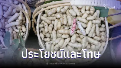รู้ยัง ประโยชน์และโทษของถั่วลิสง กินยังไงให้ได้สุขภาพดี