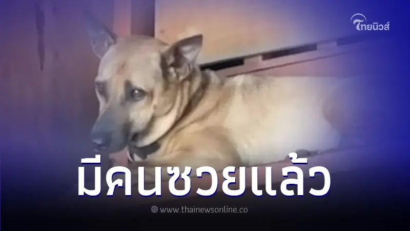 ซวยแล้ว ทนายเดชา เคลื่อนไหว "ซาร่า" ตาย เทียบคดีเตี้ย มช. งานนี้มีคนเสี่ยงคุก ซวยแล้ว ทนายเดชา เคลื่อนไหว "ซาร่า" ตาย เทียบคดีเตี้ย มช. งานนี้มีคนเสี่ยงคุก