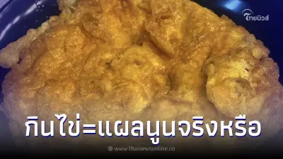 ไขความเชื่อ กินไข่ไก่แล้วแผลยิ่งนูน ความจริงกระจ่าง ไม่ใช่อย่างที่คิด