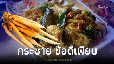 "กระชาย" สมุนไพรพื้นบ้านมากประโยชน์ เสริมภูมิคุ้มกัน เพิ่มความปึ๋งปั๋ง "กระชาย" สมุนไพรพื้นบ้านมากประโยชน์ เสริมภูมิคุ้มกัน เพิ่มความปึ๋งปั๋ง