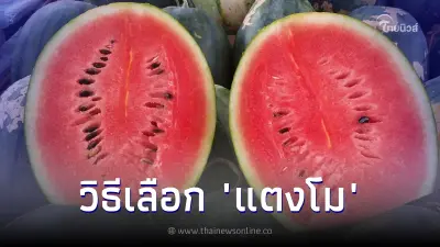วิธีเลือก "แตงโม" ดูยังไงให้ได้ของดี รสหวานฉ่ำชื่นใจ