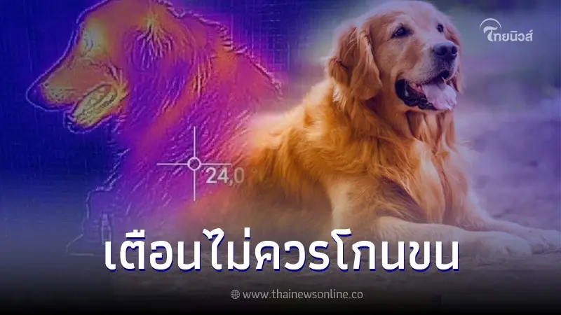 อาจารย์เจษฎ์ เผยสายพันธุ์สุนัข ที่ไม่ควรโกนขน ส่งผลเสียต่อสุขภาพ