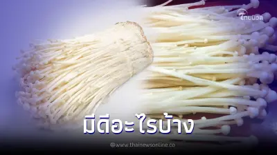 มันดีกว่าที่คิด "เห็ดเข็มทอง" กับ 9 สุดยอดประโยชน์ แถมอร่อยสุดๆ