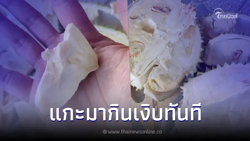 หนุ่มแชร์อุทาหรณ์ ซื้อทุเรียนมากิน แม่ค้าบอก 3 วันสุก พอแกะดูถึงกับกุมขมับ หนุ่มแชร์อุทาหรณ์ ซื้อทุเรียนมากิน แม่ค้าบอก 3 วันสุก พอแกะดูถึงกับกุมขมับ