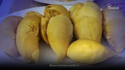 เตือนเลย ใครบ้างห้ามกิน "ทุเรียน" ถึงจะอร่อยแต่ต้องอดใจไว้ เตือนเลย ใครบ้างห้ามกิน "ทุเรียน" ถึงจะอร่อยแต่ต้องอดใจไว้