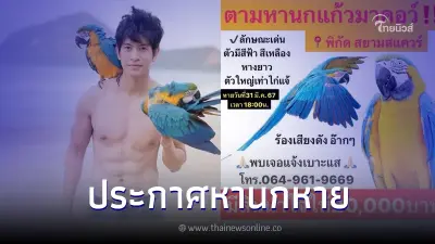 หนุ่มประกาศตามหา "นกแก้วมาคอร์" หลุดหายไป 17 วันแล้ว ใครพบเจอมีสินน้ำใจให้