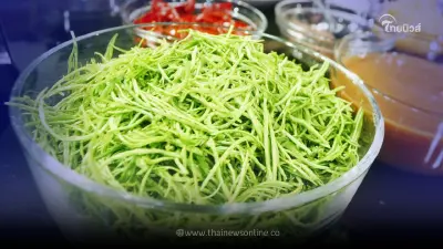 รวมประโยชน์ขั้นเทพของ "ชะอม" ผักกลิ่นแรง มีดีมากกว่าความอร่อย