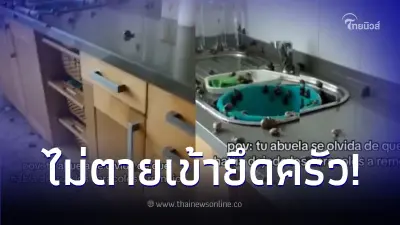 ยายซื้อหอยมาทำอาหาร แช่น้ำทิ้งไว้จนลืม กลับมาดูอีกทีหลานสาวขำไม่หยุด ยายซื้อหอยมาทำอาหาร แช่น้ำทิ้งไว้จนลืม กลับมาดูอีกทีหลานสาวขำไม่หยุด
