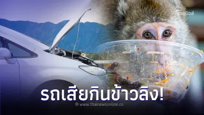 ใช้รถต้องรู้! เผยความหมายของคำว่า "กินข้าวลิง" เวลารถเสียกลางทาง