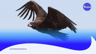 สบอ.12 (นครสวรรค์) ร่วมกับหน่วยฟื้นฟูนกล่าเหยื่อฯ ปล่อยแร้งหิมาลัย