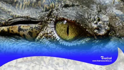 ผัวเมียทะเลาะกัน เอาความโมโหมาลงที่ ลูกพิการวัย 6 ขวบ