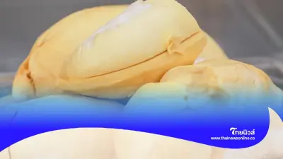 รวมวิธีขจัดกลิ่นทุเรียนในตู้เย็น ลองทำดูรับรองไม่ผิดหวัง