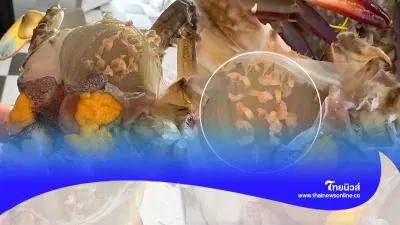 สาวสยอง ตัวอะไรในนมปู เกาะอยู่เพียบเหมือนพยาธิ เฉลยไม่อันตราย กล้ากินไหม