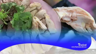 "ไก่ต้ม" ทำยังไงให้สุกพอดี หนังสวย เนื้อเด้งกินอร่อยไม่เละ "ไก่ต้ม" ทำยังไงให้สุกพอดี หนังสวย เนื้อเด้งกินอร่อยไม่เละ