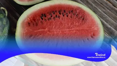 หลายคนยังไม่รู้ เตือน 7 กลุ่มเสี่ยง ควรเลี่ยง "แตงโม" กินแล้วอันตราย