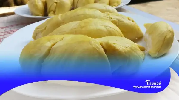"ทุเรียนห้ามกินตอนไหน" ส่งผลเสียต่อร่างกาย หลายคนไม่เคยรู้มาก่อน "ทุเรียนห้ามกินตอนไหน" ส่งผลเสียต่อร่างกาย หลายคนไม่เคยรู้มาก่อน