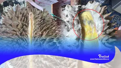 ชัดเจน "ทุเรียนขึ้นรา" ตัดเชื้อราออกแล้วกินต่อ อันตรายไหม