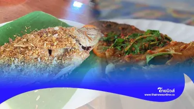 กินปลาแล้วฉลาดจริงไหม พร้อม 7 ข้อดีจากปลา กินประจำมีแต่ประโยชน์