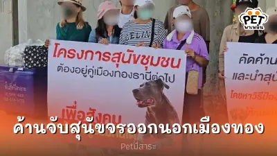 กลุ่มคนรักสัตว์รวมตัว ค้านเมืองทองธานี จับสุนัขจรออกนอกพื้นที่ กลุ่มคนรักสัตว์รวมตัว ค้านเมืองทองธานี จับสุนัขจรออกนอกพื้นที่