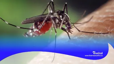 เฉลยแล้ว ยุงชอบกัดคนที่มีกรุ๊ปเลือดไหนมากที่สุด