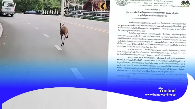 สุดเศร้า เปิดจุดพบร่าง "จิงโจ้แดง" ในแถลงการณ์ฉบับที่ ๒ สวนสัตว์เชียงใหม่ สุดเศร้า เปิดจุดพบร่าง "จิงโจ้แดง" ในแถลงการณ์ฉบับที่ ๒ สวนสัตว์เชียงใหม่