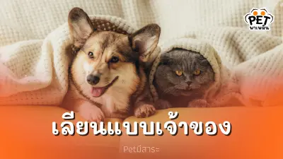 สัตว์เลี้ยงสุดที่รัก... เหมือนเจ้าของสุดๆ?