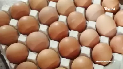 จับเวลาต้มไข่ไก่ ยังไงให้ถูกใจ ได้ระดับความสุกที่ต้องการ